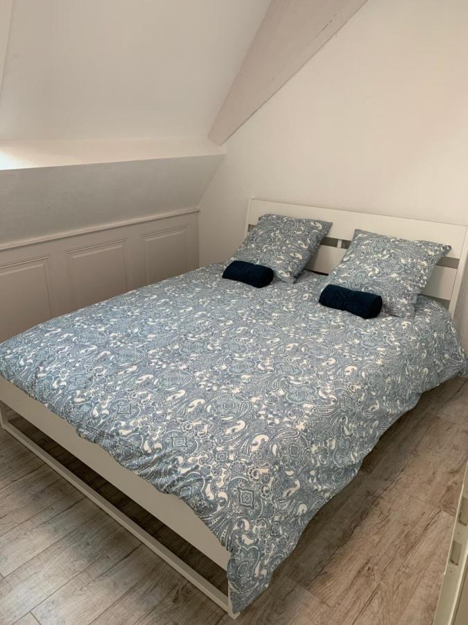 Historical Town Center Spacious Flat Colmar Dış mekan fotoğraf