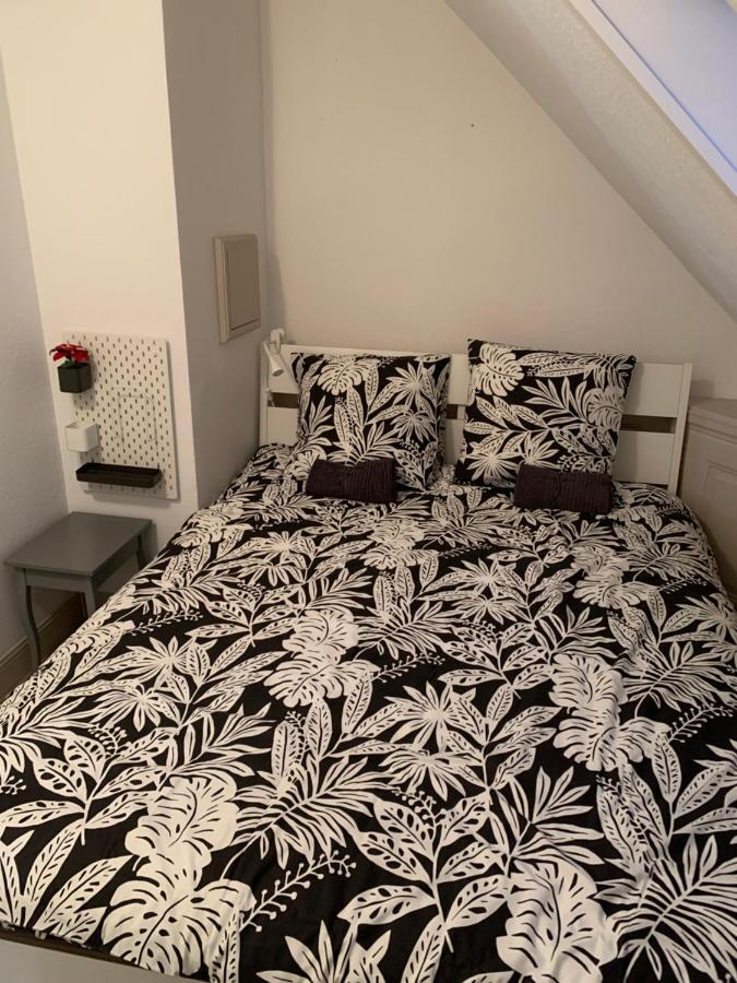 Historical Town Center Spacious Flat Colmar Dış mekan fotoğraf